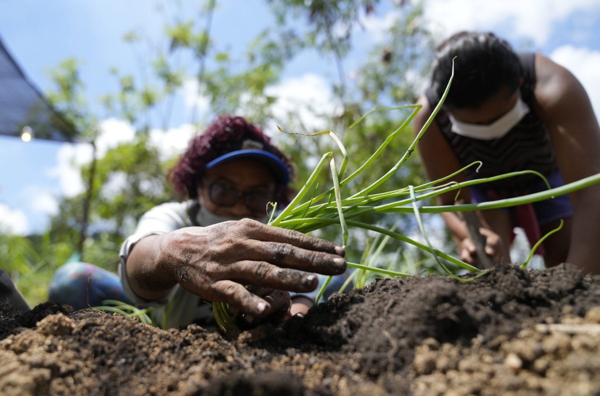 Sustainability as Heritage: Black Communities and Climate Justice