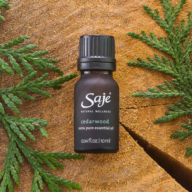 bottle of cedarwood essential oil with twig decoration around the bottle
