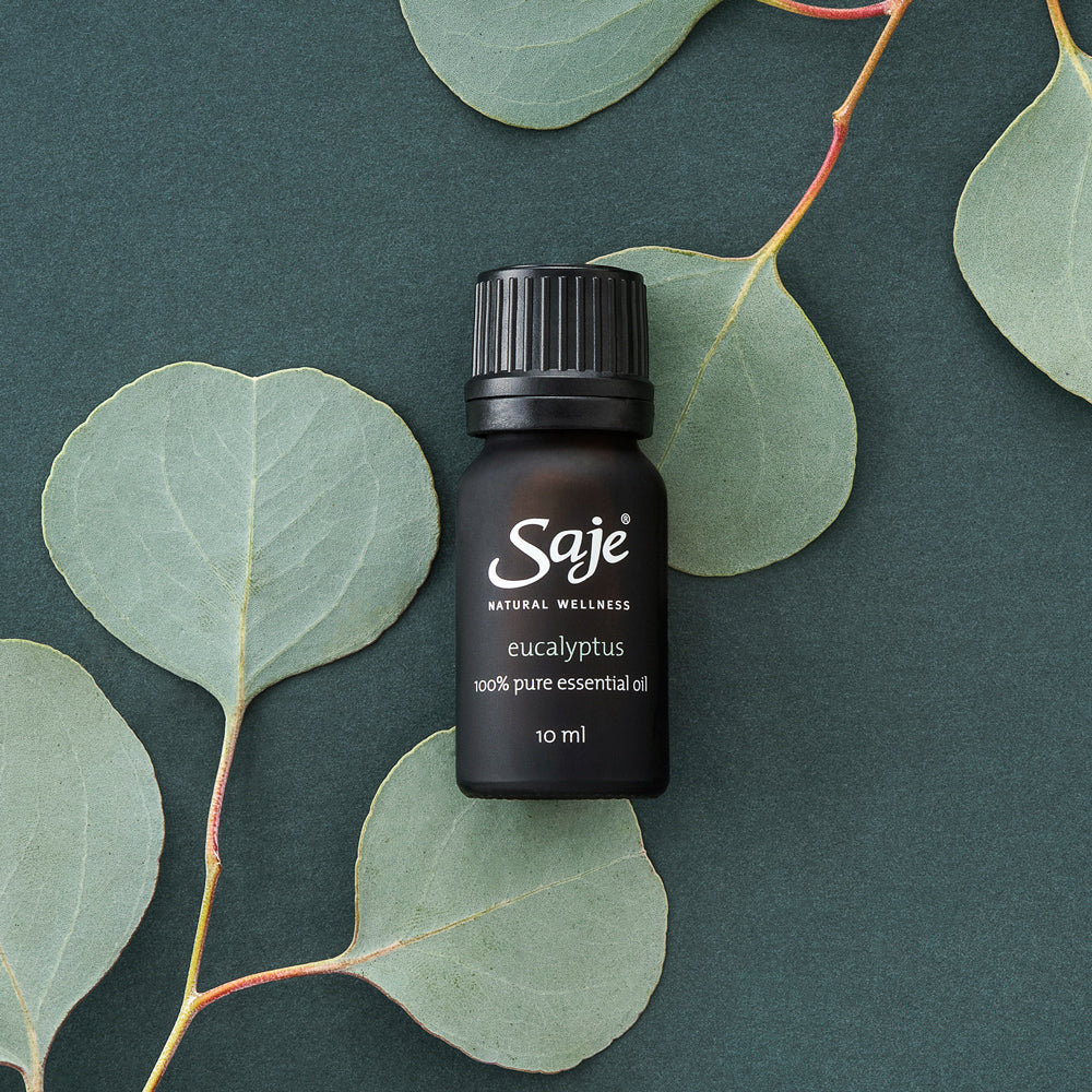 Eucalyptus single note essential oil brown Saje bottle with the cap on on a dark green background with eucalyptus leaves