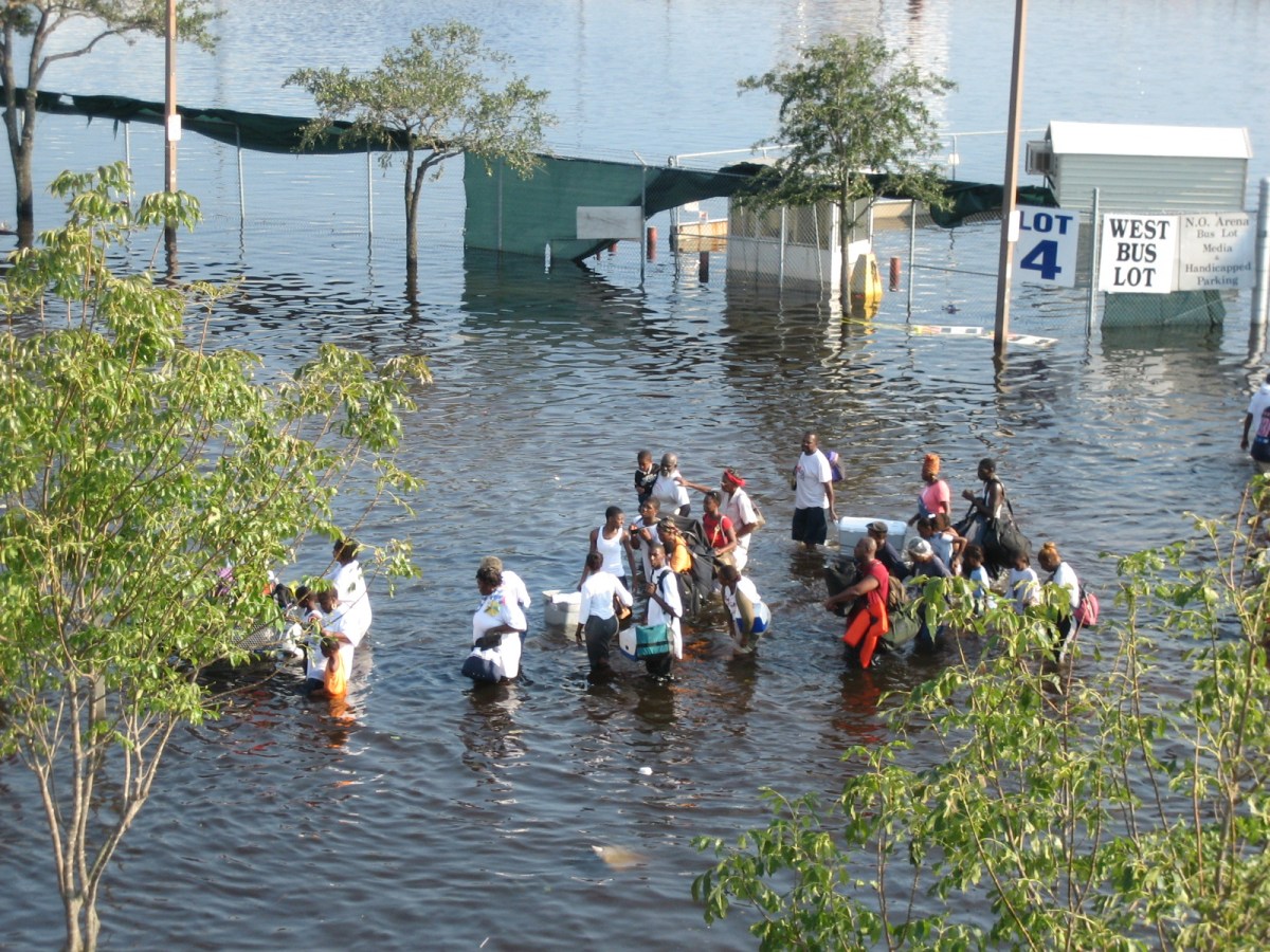 "It's now or never" to act on climate change, scientists warn