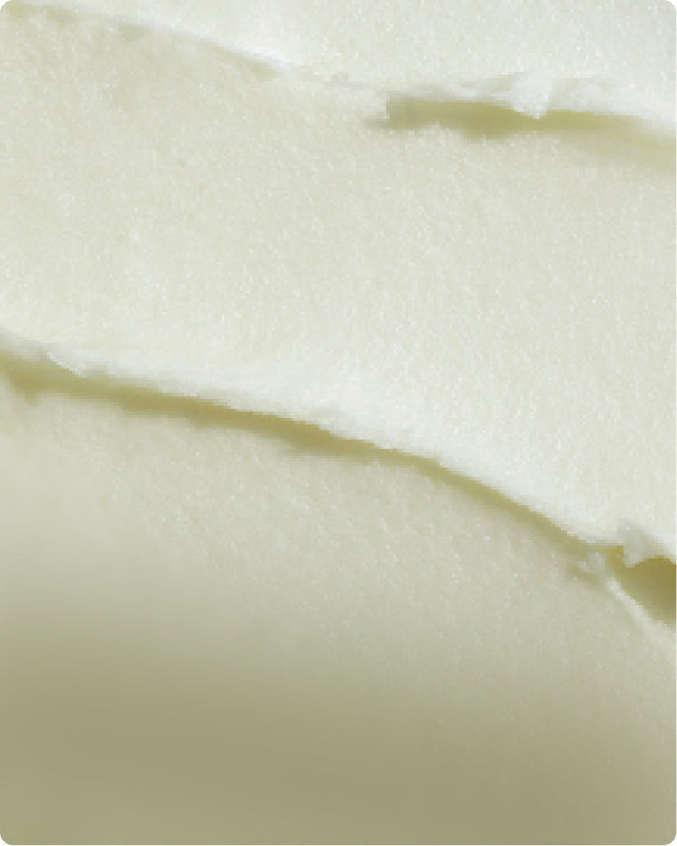 THE BENEFITS, USES, AND HISTORY OF SHEA BUTTER AND THE SHEA TREE