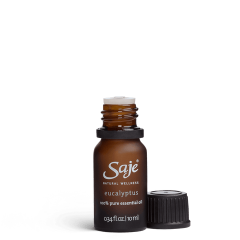 Eucalyptus pure essential oil